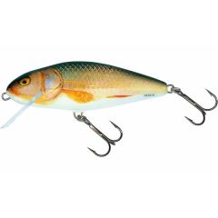 Salmo Perch 12cm Floating Real Roach