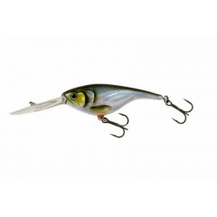 Westin Baby Bite DR Crankbait 6.5cm 13g Floating Blueback Herring