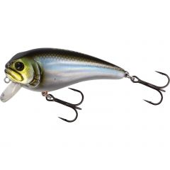 Westin Fatbite 8cm Blueback Herring