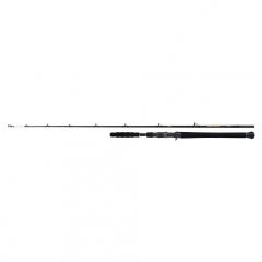 Shimano BeastMaster AX Catfish Vertical Casting 185cm 200gr